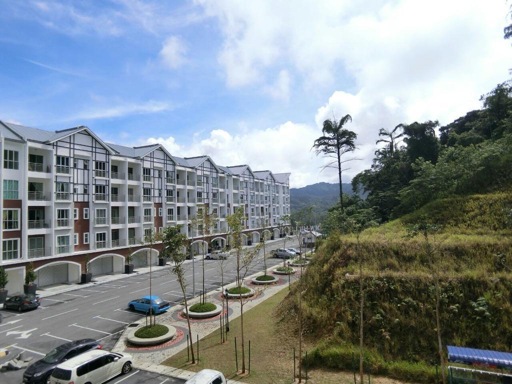 Golden Hill مرتفعات كاميرون المظهر الخارجي الصورة